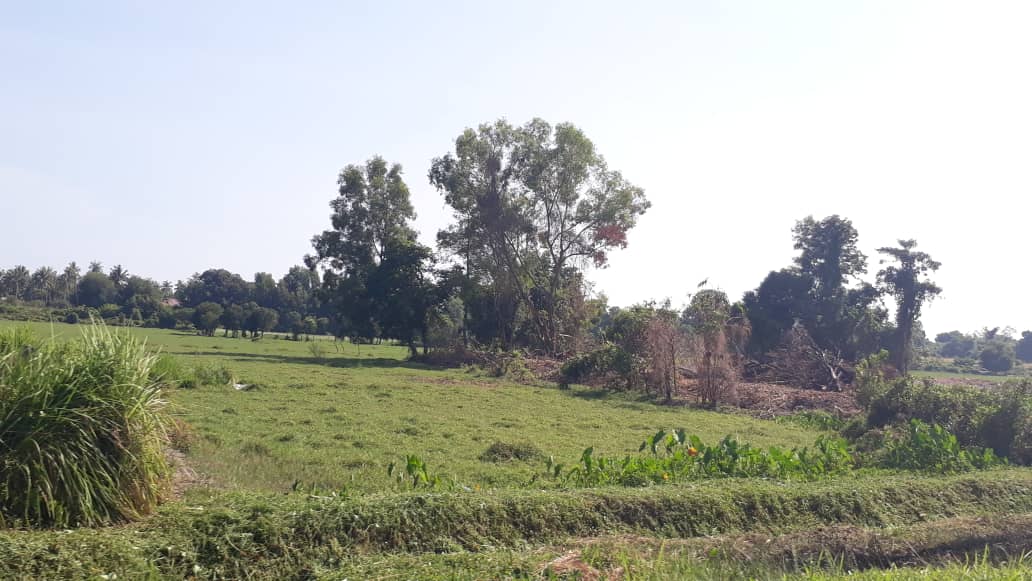 Urusan jual beli tanah